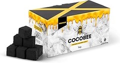Alternativas al carbón de coco: Mejores opciones para cocinar a la brasa