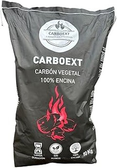 Mejores alternativas al carbón de encina para barbacoas