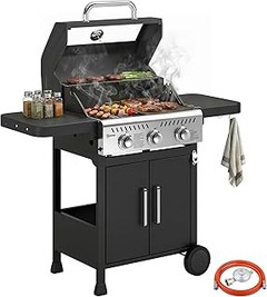 Guía para elegir la mejor barbacoa de gas con termómetro