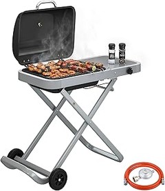 Barbacoas de Gas vs. Barbacoas de Carbón: ¿Cuál Elegir para Tu Terraza?