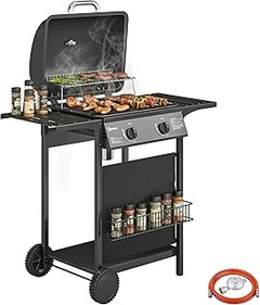 Mejores Consejos para Cocinar en Barbacoas de Gas con Parrilla de Hierro Fundido