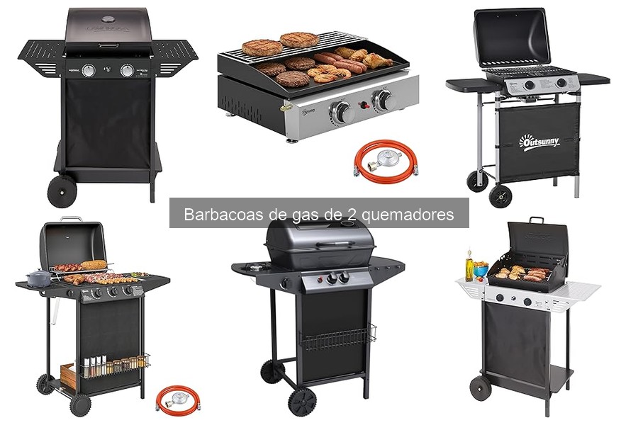 Accesorios Imprescindibles para Barbacoas de Gas de 2 Quemadores