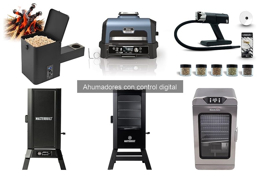 Alternativas a ahumadores digitales: elige lo mejor para ti