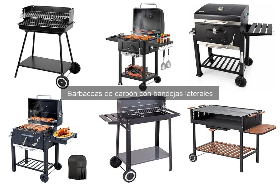 ** Alternativas a Barbacoas de Carbón con Bandejas Laterales
