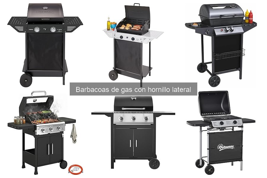 ** Alternativas a Barbacoas de Gas con Hornillo Lateral