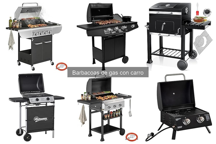 Alternativas a las Barbacoas de Gas con Carro