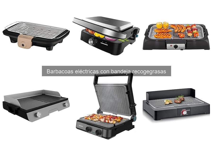Alternativas a las Barbacoas Eléctricas con Bandeja Recogegrasas