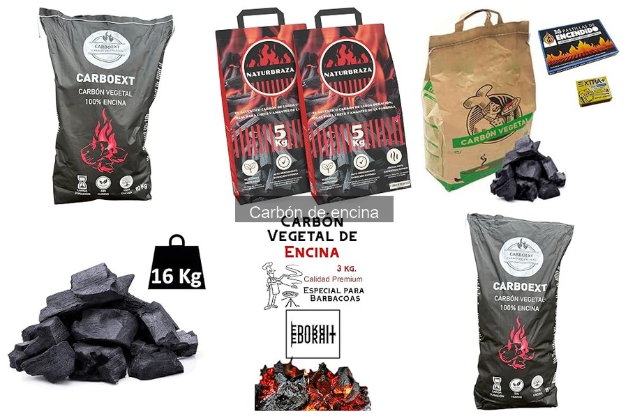 Alternativas al carbón de encina para tu barbacoa