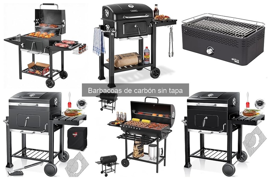 Alternativas compactas a barbacoas de carbón sin tapa