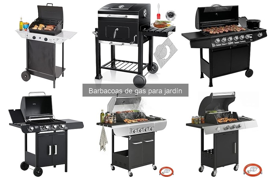 Barbacoas de gas para jardín: ¿Qué son y características?