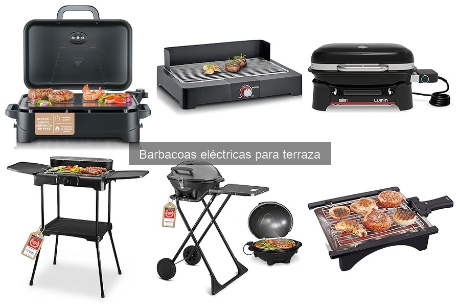 Barbacoas eléctricas para terraza: ¿Qué son y características?