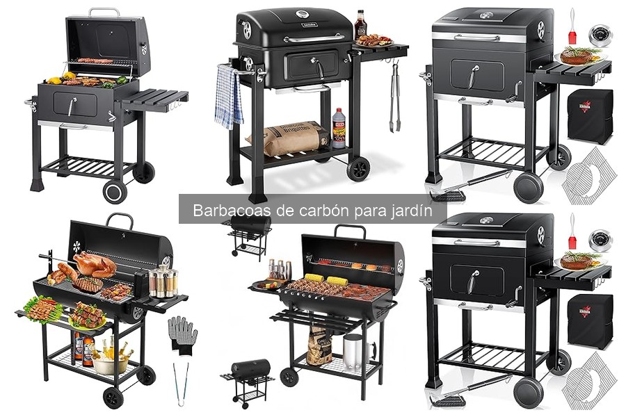 Barreras de humo en barbacoas de carbón: ¿necesarias o no?