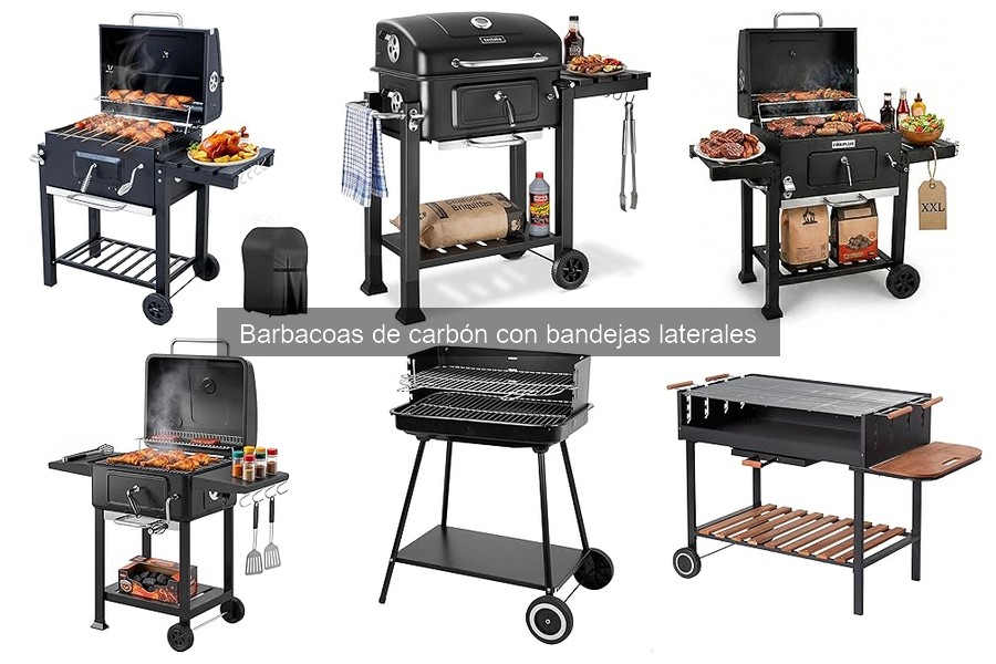 Características de Barbacoas de Carbón con Bandejas Laterales