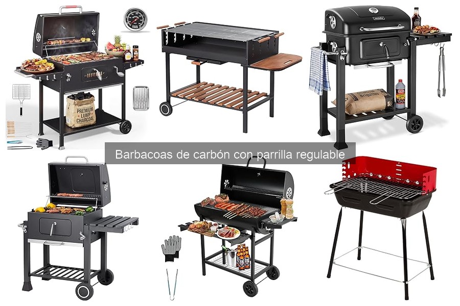 Cómo elegir la mejor barbacoa de carbón con parrilla regulable