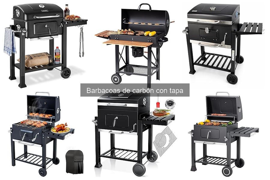 Cómo Elegir la Mejor Barbacoa de Carbón con Tapa