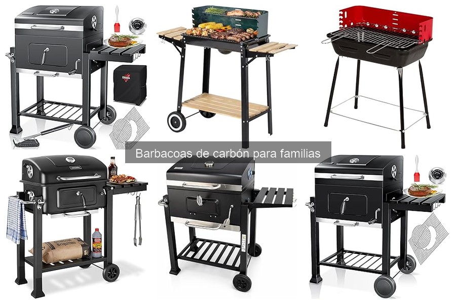 Cómo Elegir la Mejor Barbacoa de Carbón para Familias