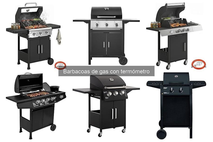 Cómo elegir la mejor barbacoa de gas con termómetro