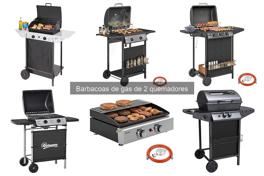 Comparativa: Barbacoa de Gas de 2 Quemadores vs Carbón