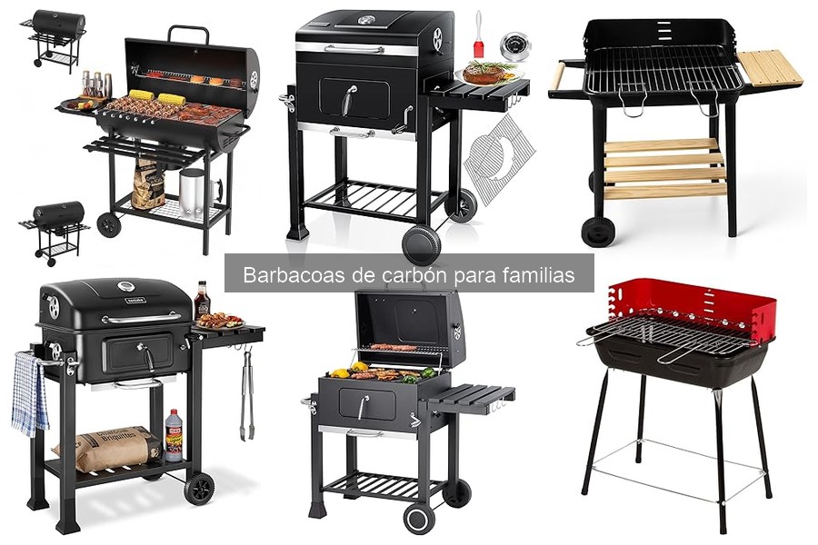 Comparativa: Barbacoas de Carbón vs Gas para Familias