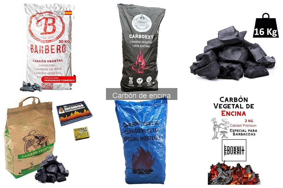 Comparativa: Carbón de Encina vs. Carbón Vegetal para Asados