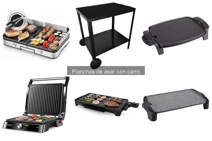 Comparativa: Planchas de Asar con Carro vs Parrillas Eléctricas