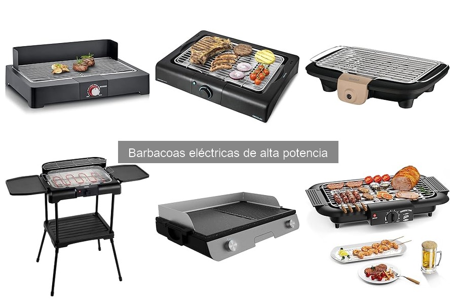 Consejos para Asar Verduras en Barbacoas Eléctricas