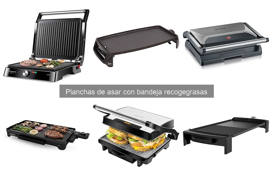 ¿Cuánto cuesta una plancha de asar con bandeja recogegrasas?