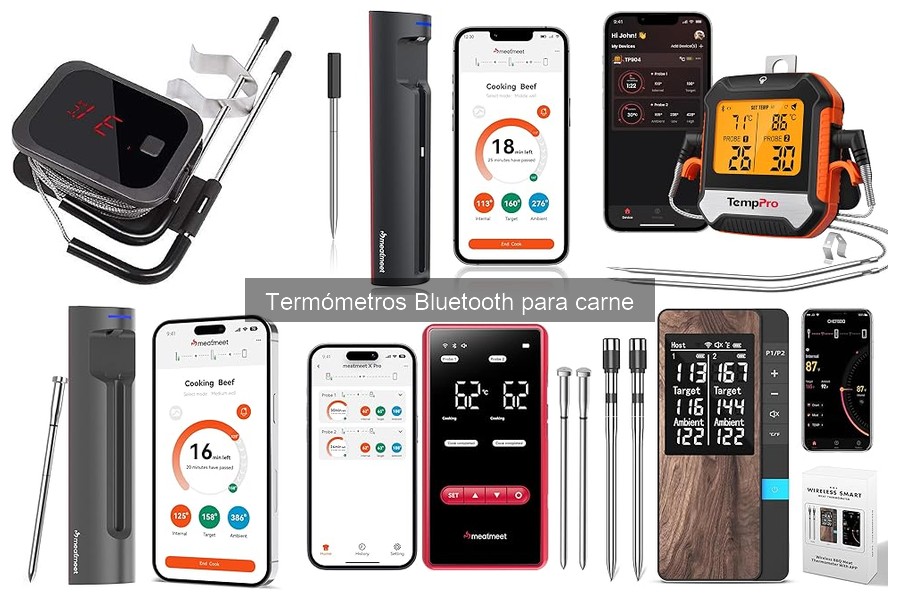 Dónde comprar termómetros Bluetooth para carne: guía 2023