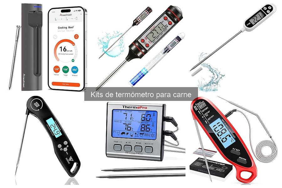 El mejor kit de termómetro para carne para principiantes