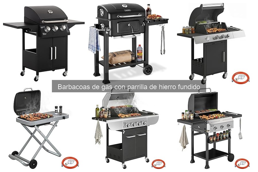 Estilos de cocina en barbacoas de gas con parrilla de hierro