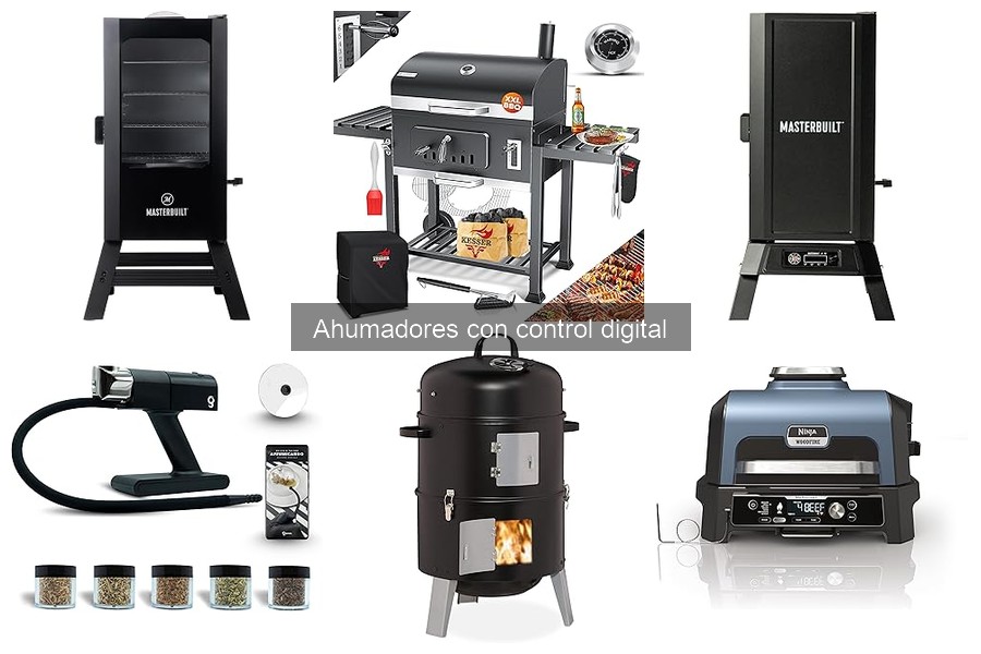 Guía de compra de ahumadores con control digital