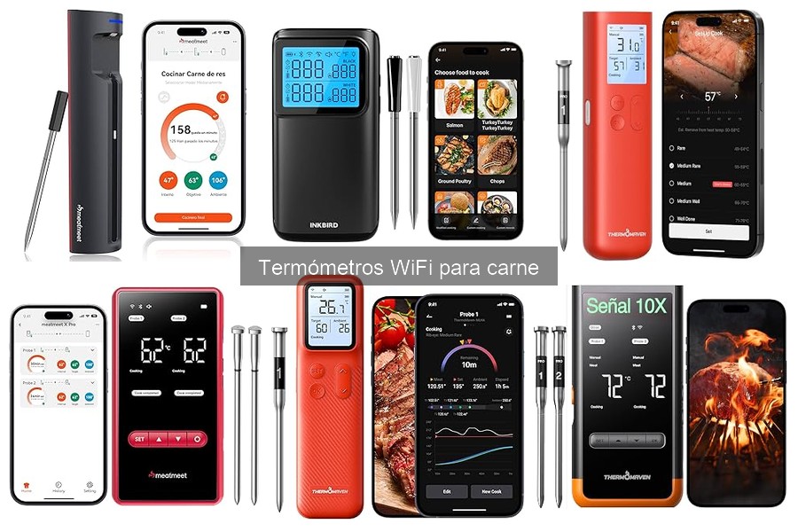 Guía de compra de termómetros WiFi para carne