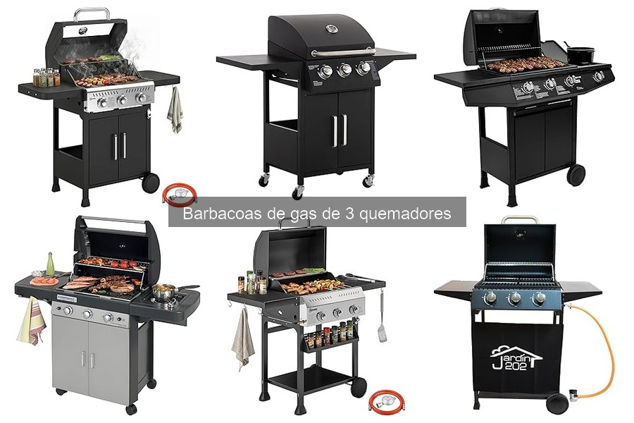 Mantenimiento de Barbacoas de Gas de 3 Quemadores