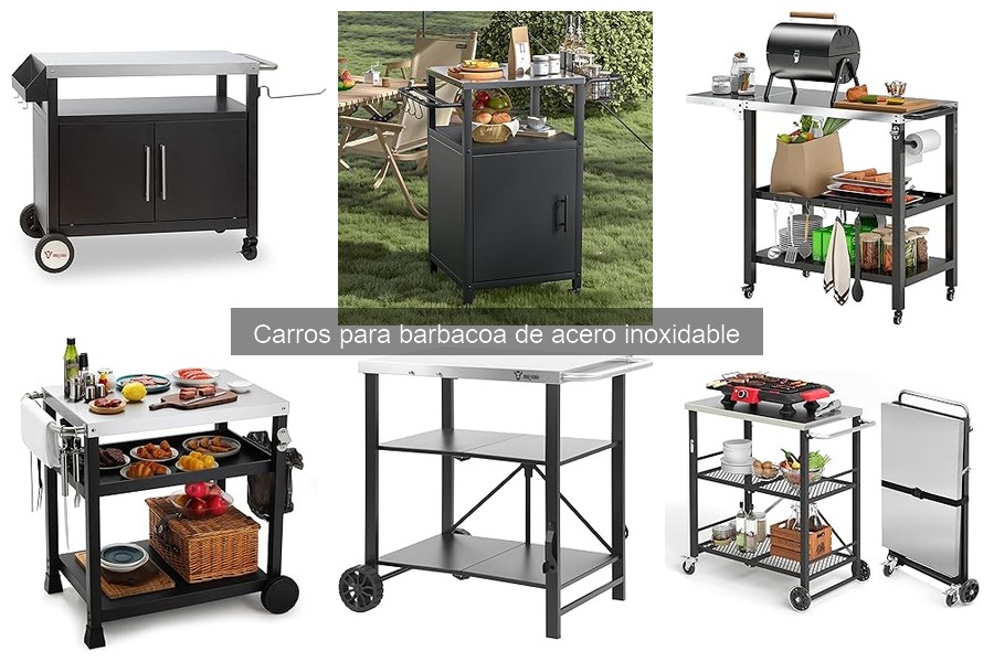 Mantenimiento de Carros para Barbacoa de Acero Inoxidable