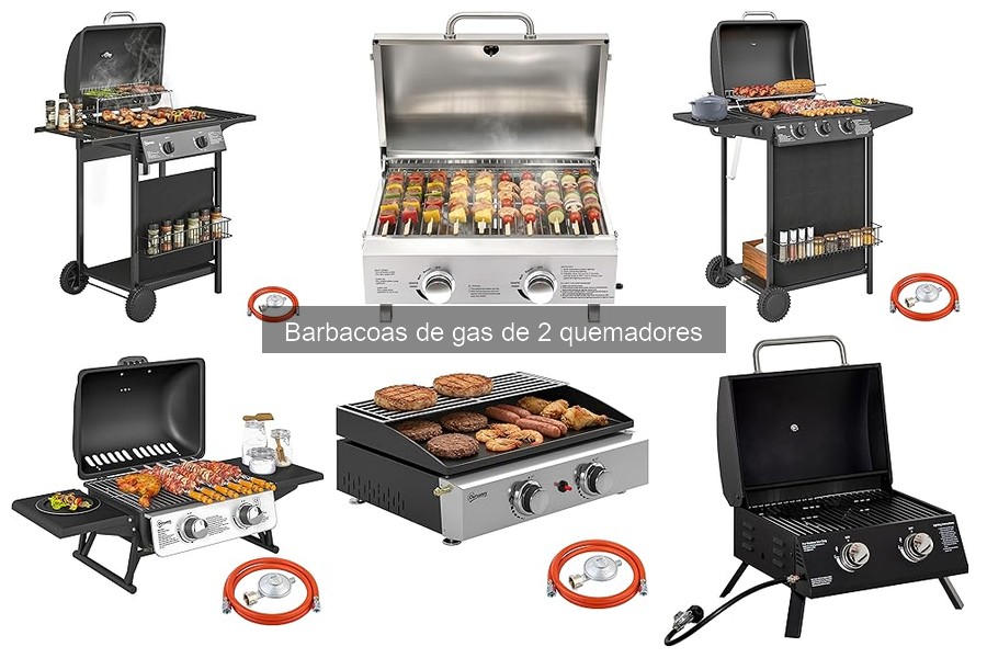 Mantenimiento esencial para barbacoas de gas de 2 quemadores