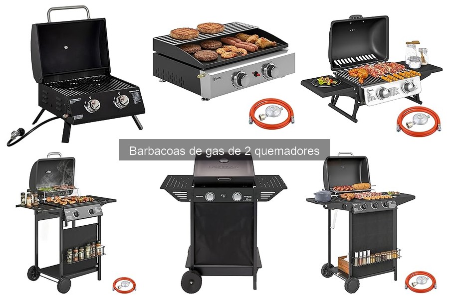 Mejores lugares para comprar barbacoa de gas de 2 quemadores