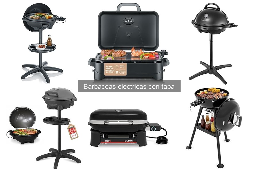 Mejores ofertas en barbacoas eléctricas con tapa 2023