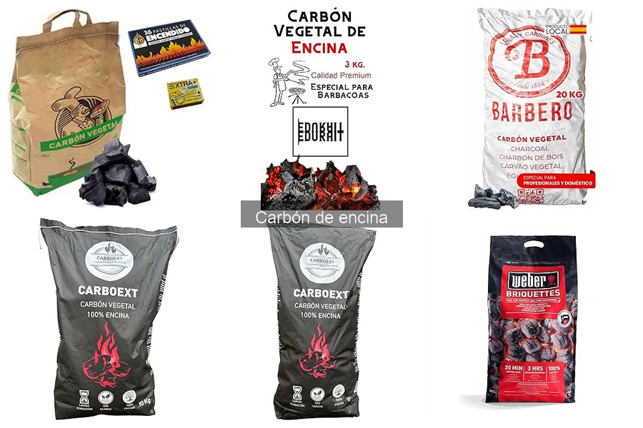 Mejores prácticas para almacenar carbón de encina