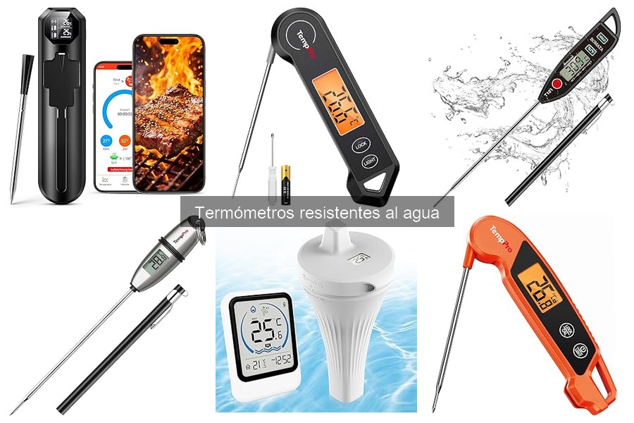 Mejores Prácticas para Medir Temperatura en Alimentos a la Brasa