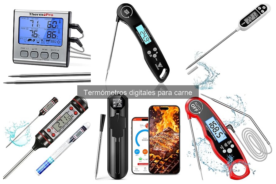 Mejores termómetros digitales para carne según usuarios