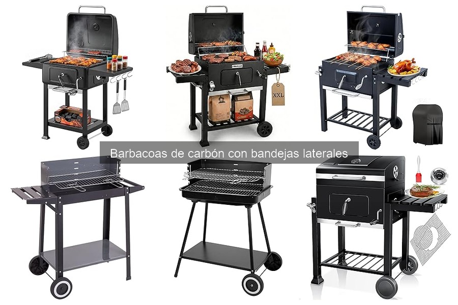 Opiniones sobre las Mejores Barbacoas de Carbón con Bandejas