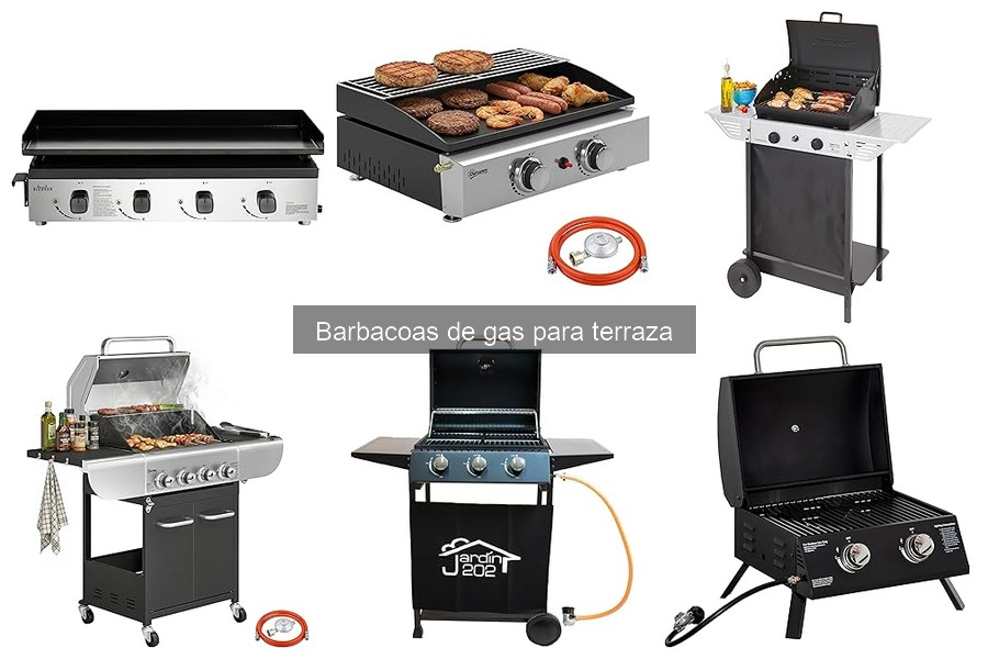 Precios de Barbacoas de Gas para Terraza en 2023