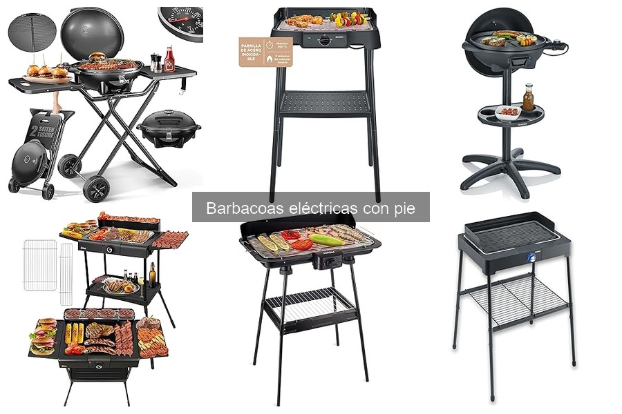 Precios de barbacoas eléctricas con pie y dónde comprarlas