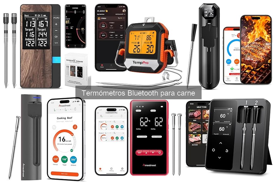 Precios de termómetros Bluetooth para carne: guía 2023