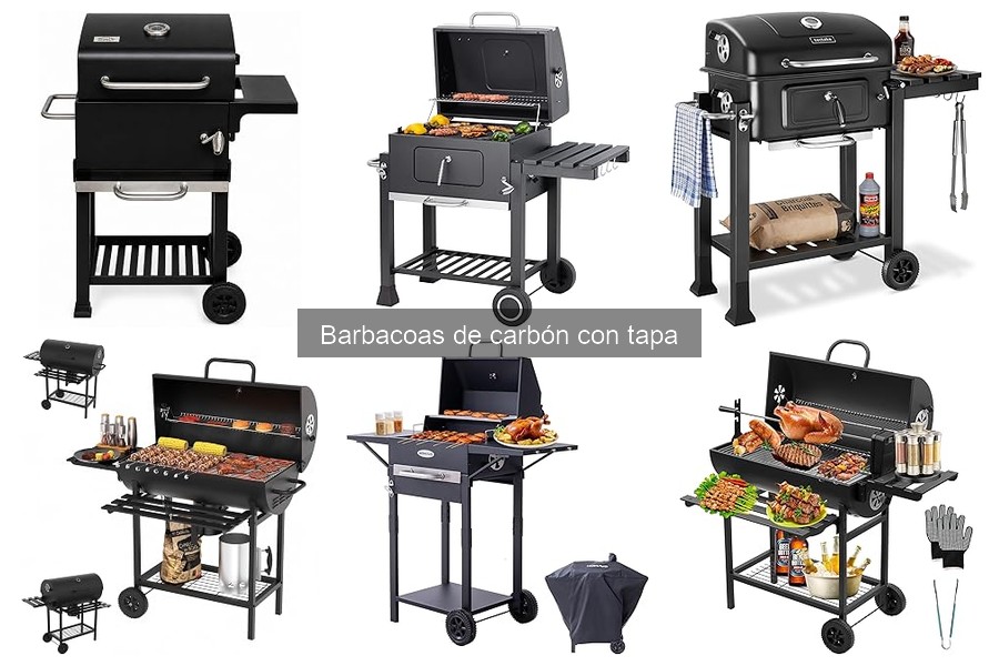 Precios promedio de barbacoas de carbón con tapa