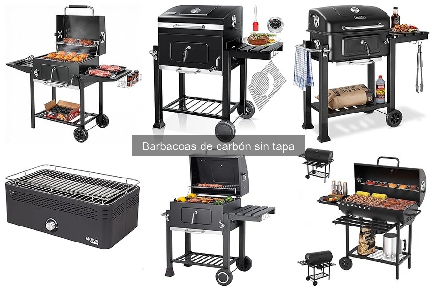 Problemas comunes con barbacoas de carbón sin tapa