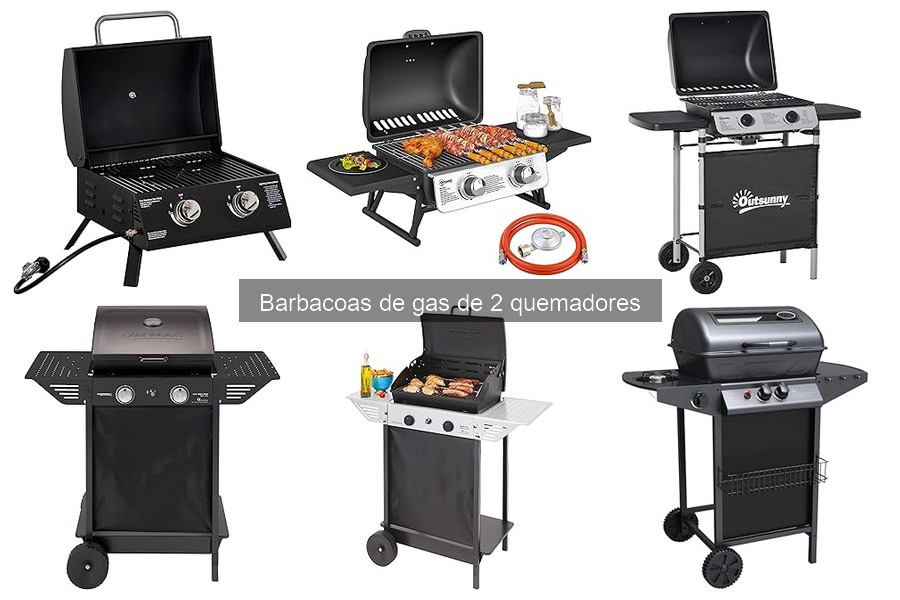 Problemas comunes en barbacoas de gas de 2 quemadores