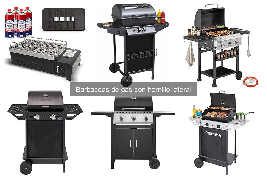 Recetas deliciosas para barbacoa de gas con hornillo lateral