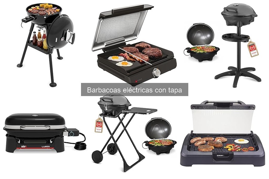 Recetas deliciosas para barbacoas eléctricas con tapa
