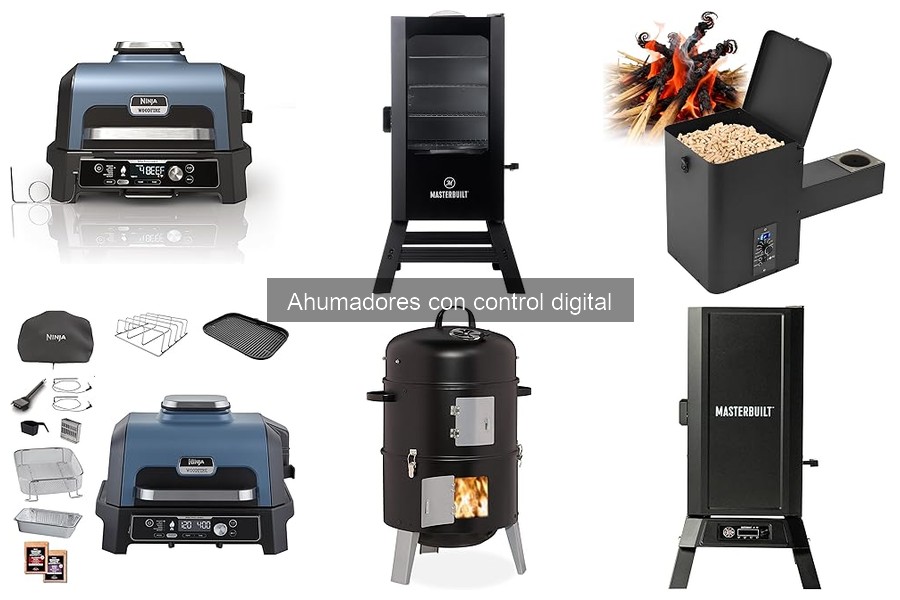 Recetas fáciles para ahumadores con control digital